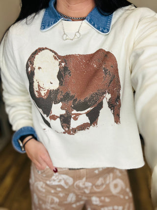 Hereford Cropped Sweatshirt-Pullovers-Hank & Scoot-Motis & Co Boutique, Women's Fashion Boutique in Carthage, Missouri