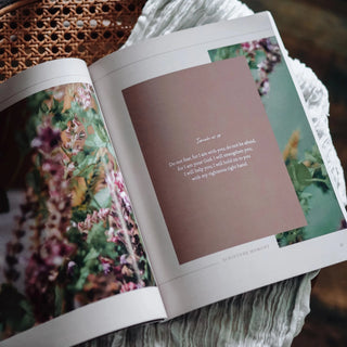 Peace For the Anxious Heart Bible Study-Books-The Daily Grace Co-Motis & Co Boutique, Women's Fashion Boutique in Carthage, Missouri