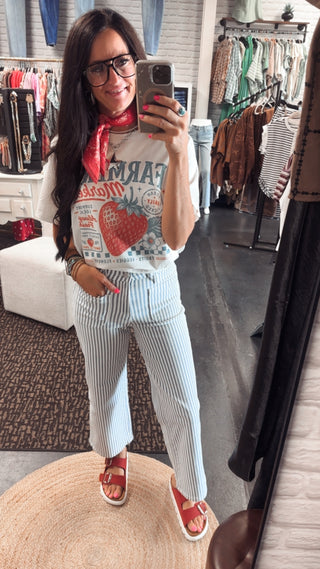 Ethan Striped Denim Cropped Jeans-Jeans-Mica-Motis & Co Boutique, Women's Fashion Boutique in Carthage, Missouri