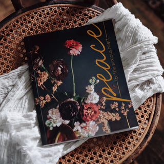 Peace For the Anxious Heart Bible Study-Books-The Daily Grace Co-Motis & Co Boutique, Women's Fashion Boutique in Carthage, Missouri