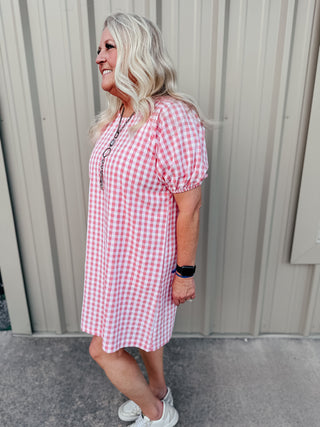 Ginger Pink Gingham Dress-Dresses-The Lattimore Claim-Motis & Co Boutique, Women's Fashion Boutique in Carthage, Missouri