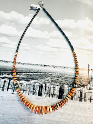 Orange Spiny & Turquoise Graduated Necklace
