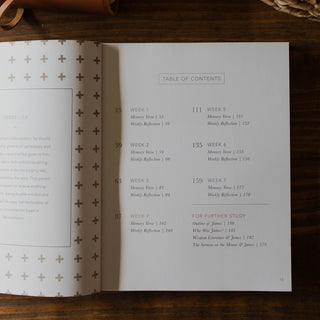 Men's Bible Study of James The Steadfast Life-Devotionals-The Daily Grace Co-Motis & Co Boutique, Women's Fashion Boutique in Carthage, Missouri