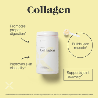 Digestion Duo Collagen Probiotic-Supplements-Xyngular-Motis & Co Boutique, Women's Fashion Boutique in Carthage, Missouri