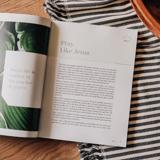 Cultivating A Passionate Practice of Prayer Study-Books-The Daily Grace Co-Motis & Co Boutique, Women's Fashion Boutique in Carthage, Missouri