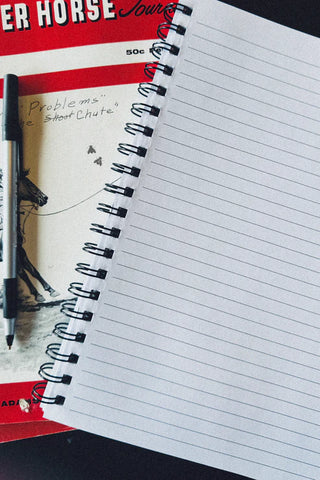 Noteworthy Notebook-Stationary-2 Fly-Motis & Co Boutique, Women's Fashion Boutique in Carthage, Missouri