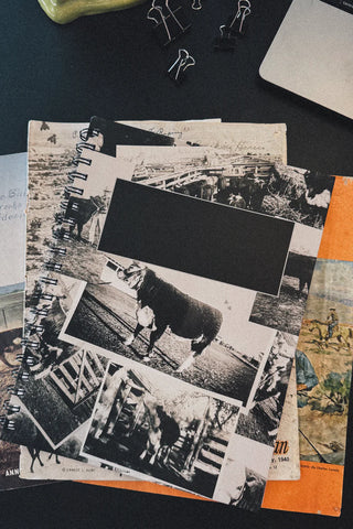 Noteworthy Notebook-Stationary-2 Fly-Motis & Co Boutique, Women's Fashion Boutique in Carthage, Missouri